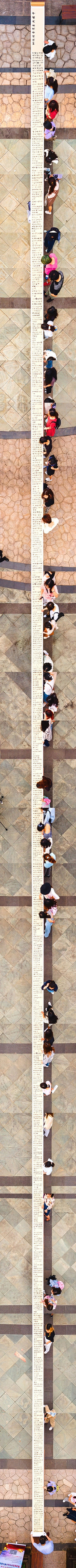 �º�꣺������д���׳������������޽�������