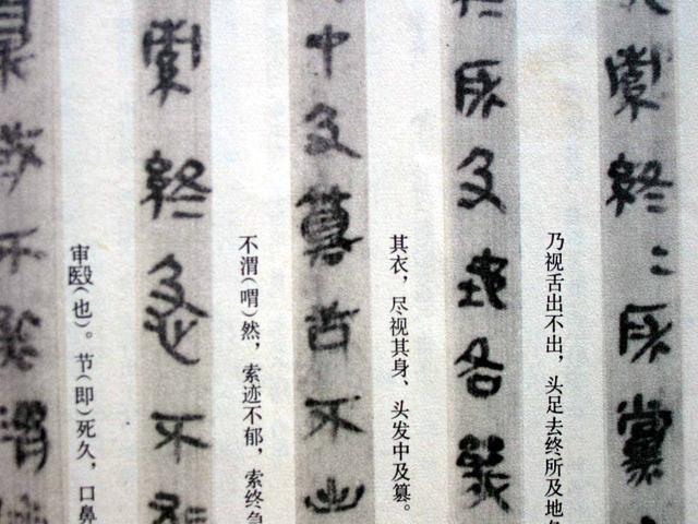 �鷨|������鷢չ����ʷ